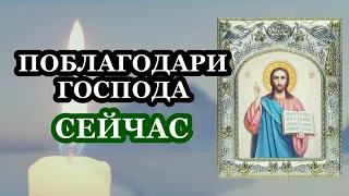 Внимание! Прямо сейчас не поленись и произнеси эти слова! Поблагодари Господа За Всё!