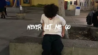 Florence + The Machine - Never Let Me Go (slowed down)