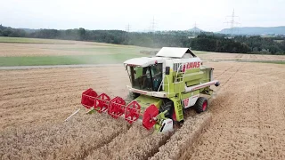 Getreideernte 2019 // Weizenernte // Claas Dominator 108 VX und Fendt Power