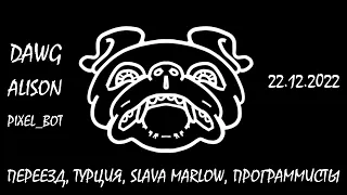 Dawg & Ko - Переезд, Турция, Slava Marlow и Программисты / Нарезка стрима 22.12.2022