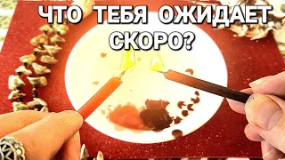 💯❗️СРОЧНОЕ ПОСЛАНИЕ ОТ ВЫСШИХ СИЛ 🔥 ЧТО ТАЙНОЕ СТАНЕТ ЯВНЫМ 💥ТОЧНОЕ ГАДАНИЕ С ВОСКОМ🔥