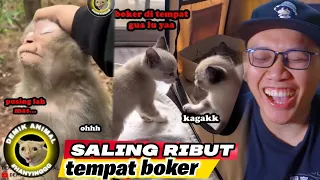 NGAKAK! SAAT BINATANG BICARA BAHASA MANUSIA! REACTION DEMIK ANIMAL!