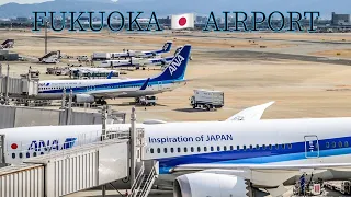 【4K映像】飛行機イル❣️いるョ福岡空港/ANA.JAL./plane spotting videos/takeoff and landing/fukuoka.Japan/airport/