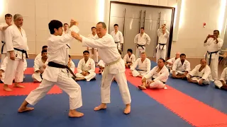 JION Kata  - (JKA HQ ) Shihan Tatsuya Naka and Ogura Yasunori.