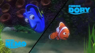 Scene Comparison: Finding Nemo VS Finding Dory