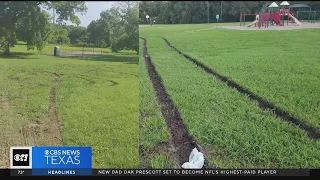 Dallas parks are becoming the terrain of vandals