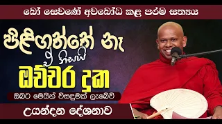 පිළිගත්තේ නෑ ඒ නිසයි ඔච්චර දුක | බෝ සෙවණේ අවබෝධ කළ පරම සත්‍යය |  Venerable Welimada Saddaseela Thero