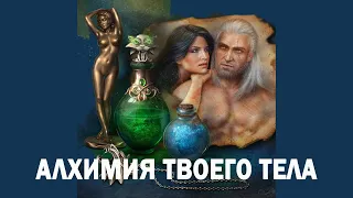 ШКОЛА АВТОНОМИИ | Алхимия тела | Снятие мышечных зажимов | Голтис