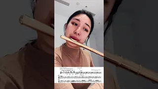 Khachaturian Flute Concerto I. Allegro