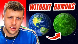 What If Humans Were Never On This Planet?