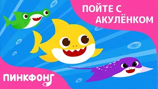 Гонки акул | Пойте с Акулёнком | Пинкфонг Песни для Детей