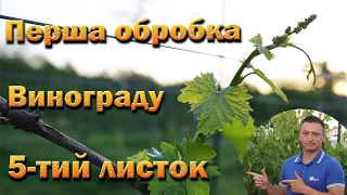 Перша обробка винограду по п'ятому листку. Один препарат від всіх хвороб!