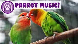 Relaxing Music for Parrots! Calm Your Bird and Help them Sleep!