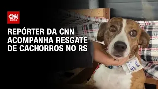 Repórter da CNN acompanha resgate de cachorros no RS | BASTIDORES CNN