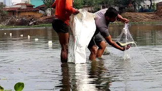 best gill net fishing/ village fisher man/