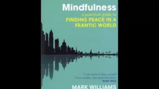 Mindfulness Meditation   Exploring Difficulties