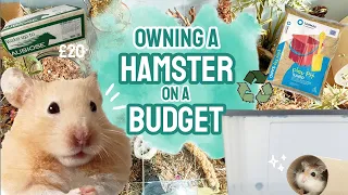 Owning a Hamster on a Budget! - Where to Find Cheap Pet Supplies 🐹💸