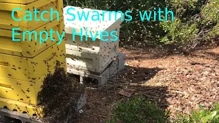 Hive Set Up For Catching Honey Bee Swarms