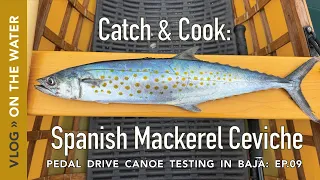 Catch and Cook Spanish Mackerel, Mexican Style Ceviche!  Testing the New Pedal Drive Canoe in Baja.