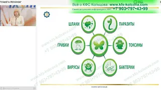 Лузгинова С.В. 2022-09-16 «КФС и детоксикация организма. Ч.4»#кфскольцова