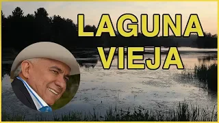 Laguna Vieja - Reynaldo Armas (letra) HD