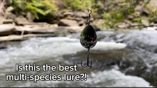 The BEST inline spinner | WILD trout and Smallmouth!