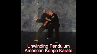 Unwinding Pendulum American Kenpo Karate