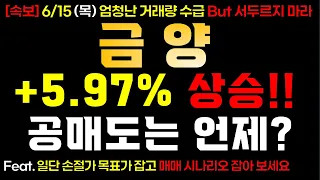 [금양] 6/15 (목) +5.97% 상승! 공매도는 언제?