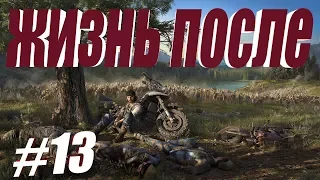 ЖИЗНЬ ПОСЛЕ | Days Gone | Полное Прохождение | Часть-13 | PS4 pro.