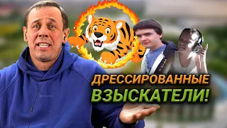 БЕДНЯГИ УНИЖАЮТСЯ ЗА КУСОЧЕК САХАРА! | БАНКРОТСТВО | Кузнецов | Аллиам