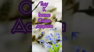 Февральской привет ❄️🌷❄️🌷❄️🌷🌤️🌷🌤️