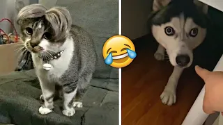 Funniest Animals 2023 🤣 - Funny Cats and Dogs 😹🐶  -Funny Animal Videos 😂#44