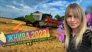 Жнива озимих зернових 2023 - завершено 🌾 АГРОТОРГ👩‍🌾