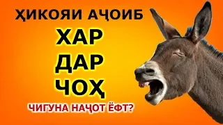 Достони хар дар чоҳ ва чихел аз марг наҷот ёфт ГАНДА ИБРАТОМУЗ