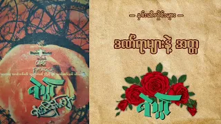 ဒဏ်ရာများနဲ့အတ္တ_ရဲသွင်