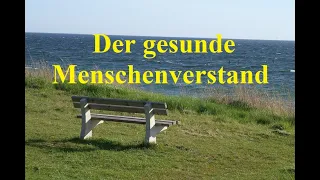 Kurzpredigt: Der gesunde Menschenverstand