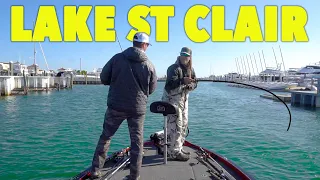How To Fish For Largemouth Bass On Lake St Clair: Bass Fishing 2023