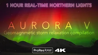 AURORA V - 1 HOUR REAL-TIME 4K NORTHERN LIGHTS - Relaxation compilation / Tromsø, Arctic Norway