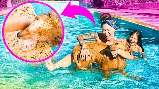 FOMOS ATACADOS PELO CACHORRO NA PISCINA ! - Fran Japa