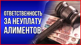 Алименты. Что грозит за неуплату алиментов в 2022 году