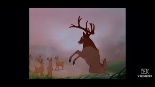 Bambi (1942) The Great Prince of the Forest scene