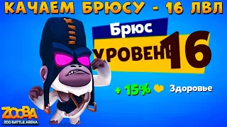 КАЧАЕМ ПАЛАЧА БРЮСА НА 16 УРОВЕНЬ В ИГРЕ ZOOBA