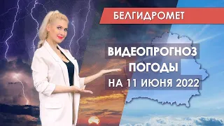 Видеопрогноз погоды по областным центрам Беларуси на 11 июня 2022 года