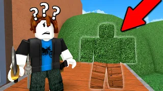 HIDE and SEEK in Roblox MM2!