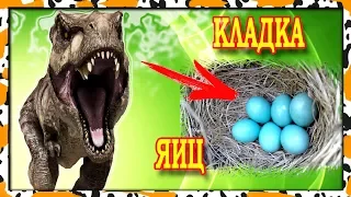 Динозавр РЕКС защищает кладку яиц