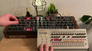 Techno Jam on a Prophet 6 & Roland tr09