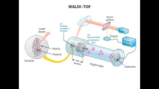 MALDI TOF Mass Spectroscopy Animation I CSIR NET Life Science I GATE Life Science I DBT JRF