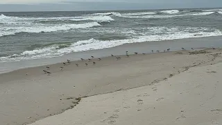 Rainy day at the beach Island Beach State Park