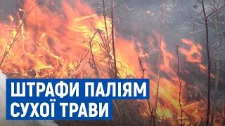 Три підпали та 1 припис: у Чернігові та районі провели рейд на виявлення паліїв сухої трави