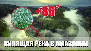 Кипящая река в Амазонии. Аномальная погода. Климатические изменения. Выпуск 82